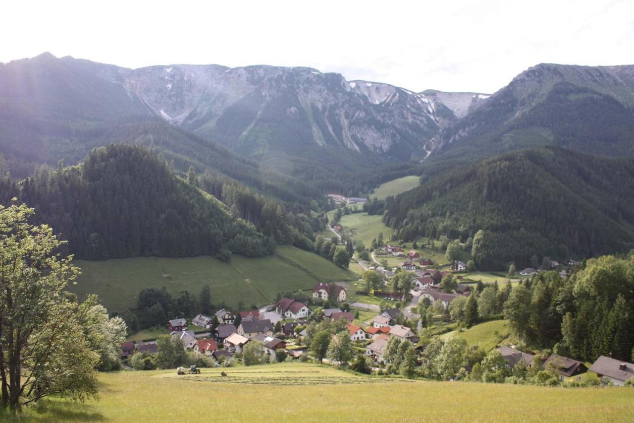 Altenbergerhof Neuberg an der Mürz Exterior foto